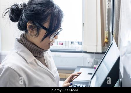 Frau, die am Computer am Fenster einer Arztpraxis arbeitet Stockfoto