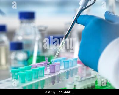 Wissenschaftler pipettieren Flüssigkeit in Reagenzgläser im Labor. Stockfoto