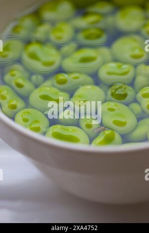 Dicke Bohnen in Schüssel voll Wasser Stockfoto