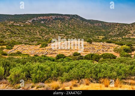 Ruinen der minoischen Stadt Gournia, Bronzezeit, Ostkreta, Griechenland Stockfoto