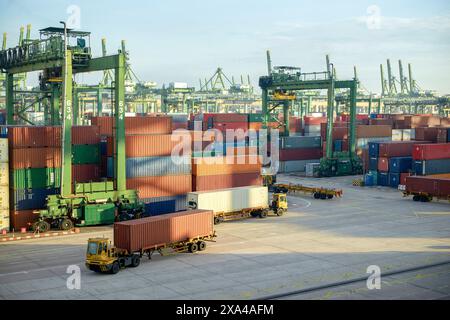 Ein belebtes Containerterminal mit Stapeln von mehrfarbigen Containern, Kränen im Hintergrund und automatisierten geführten Fahrzeugen, die Fracht transportieren. Stockfoto