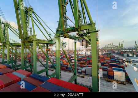 Das Bild zeigt einen belebten Containerhafen in der Abenddämmerung mit mehreren großen Kränen, die sich über Reihen von bunten Containern auftürmen und unter einem weiten, teilweise bewölkten Himmel auf den Transport warten. Stockfoto