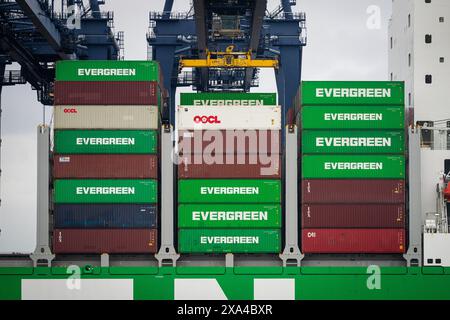 28. Mai 2024, FELIXSTOWE, ENGLAND - Container aus Evergreen auf dem Containerschiff Ever Ace. ANP / Hollandse Hoogte / Tobias Kleuver niederlande aus - belgien aus Stockfoto