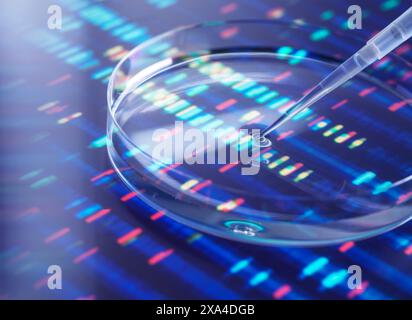 Nahaufnahme einer Pipette, die eine Probe auf eine Petrischale mit einem bunten DNA-Sequenzierungsgel im Hintergrund tropft. Stockfoto