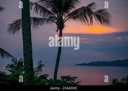 Ein ruhiger Sonnenuntergang über dem Meer, umgeben von Silhouetten von Palmen unter einem Abendhimmel. Stockfoto