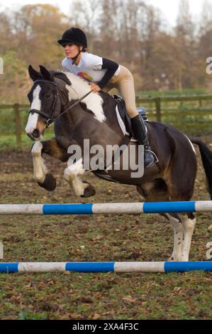 Tara Palmer-Tomkinson trainiert heute auf ihrem Pferd Barney an der ...