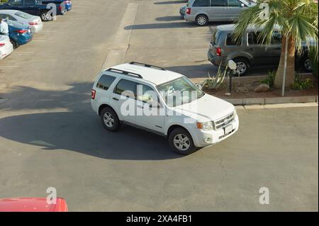 Ein Blick von oben auf einen weißen SUV, der auf einem Asphaltgrundstück mit umliegenden Fahrzeugen und Palmen geparkt ist. Stockfoto