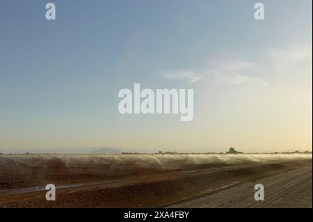 Ein riesiges landwirtschaftliches Feld unter klarem Himmel mit einem Bewässerungssystem, das Wasser sprüht und einen Nebel über den Kulturen mit weit entfernten Bergen am Horizont erzeugt. Stockfoto