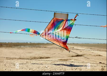 Ein farbenfroher Drachen ist in einem Stacheldrahtzaun gegen einen klaren blauen Himmel in einer kargen Landschaft verwickelt. Stockfoto