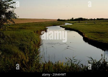 Ein ruhiger Fluss schlängelt sich durch eine üppige grüne Landschaft unter einem klaren Himmel in der Abenddämmerung, mit Vegetation an den Ufern und Vögeln, die über ihnen fliegen. Stockfoto