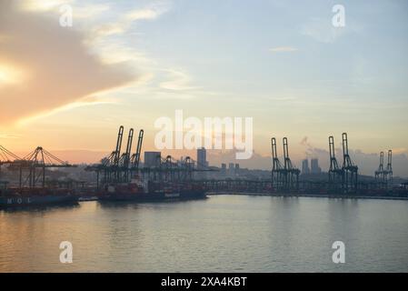 Eine ruhige Sonnenaufgangsszene in einem Hafen mit Silhouetten von Kranichen und einer Skyline im Hintergrund unter einem weichen, pastellfarbenen Himmel. Stockfoto