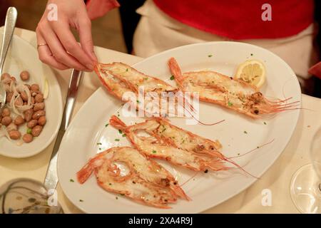 Frisch gegrillte Garnelen, serviert auf einer weißen Platte mit Zitrone und Kräutern. Stockfoto