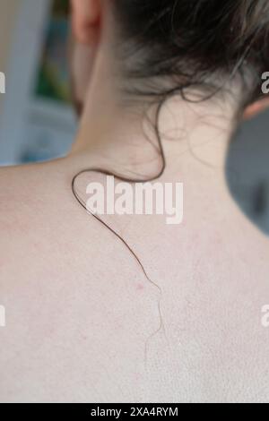 Nahaufnahme des Nackens und des oberen Rückens einer Person mit einer einzelnen Haarsträhne auf der Haut. Stockfoto
