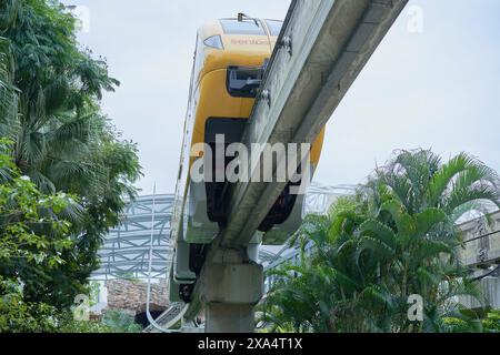 Eine Einschienenbahn, die aus üppigem Grün auf einer erhöhten Strecke auftaucht. Stockfoto