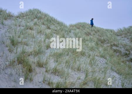 Ein einsamer Mensch sitzt besinnlich auf einer grasbewachsenen Sanddüne unter einem sanften blauen Himmel. Stockfoto