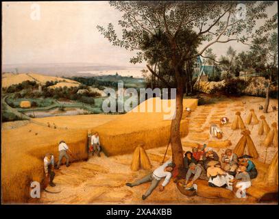 Die Harvesters von Pieter Bruegel dem Älteren im Jahre 1565 Stockfoto