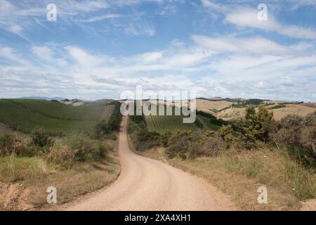 Eine gewundene Feldstraße führt durch sanfte Weinberge unter einem teilweise bewölkten blauen Himmel. Stockfoto