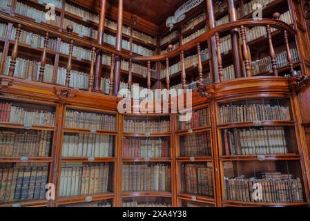 Palafoxiana Library, 1646, erste Bibliothek Lateinamerikas, UNESCO-Weltkulturerbe, Historisches Zentrum, Puebla, Puebla State, Mexiko, North America Co Stockfoto