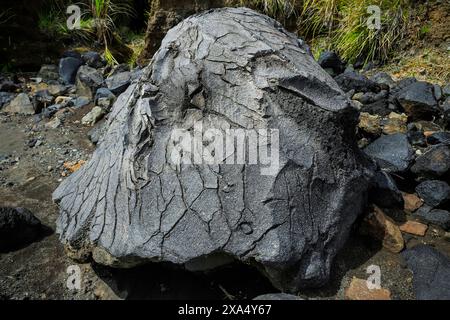 Stressrisse in der Haut einer großen gefallenen Lavabombe in der Nähe des Mount Lokon, eines aktiven Stratovulkans, in der Nähe von Tomohon City, Gunung Lokon, Tomohon, Nord-Sulaw Stockfoto