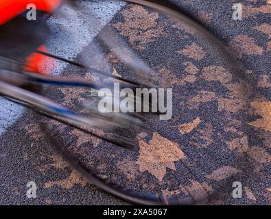 Verschwommene Bewegung eines Radrads, das über Herbstblätter auf einer nassen Asphaltstraße rollt. Stockfoto