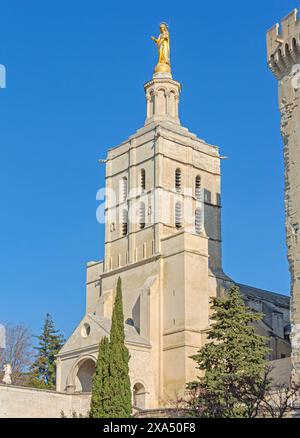 Avignon, Frankreich - 30. Januar 2016: Vergoldete Statue der Jungfrau Maria oben auf dem Glockenturm römisch-katholische Kathedrale Historisches Wahrzeichen sonniger Wintertag. Stockfoto