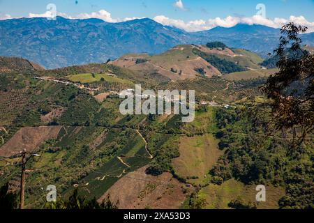 Kulturelle Kaffeelandschaft. Wunderschöne Berge der Central Ranges in der Gemeinde Aguadasgelegen im Departement Caldas in Kolumbien. Stockfoto