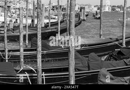 San Marco am Wasser von Venedig Stockfoto