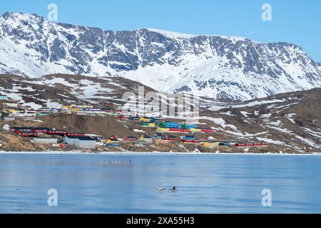 Südöstliches Grönland, Region Ammassalik. Typische farbenfrohe Häuser in der abgelegenen Gemeinde Tasiilaq. Lokale Hundeschlitten auf Frühjahrs-Fasteis. Stockfoto