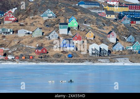 Südöstliches Grönland, Region Ammassalik. Typische farbenfrohe Häuser in der abgelegenen Gemeinde Tasiilaq. Lokale Hundeschlitten auf Frühjahrs-Fasteis. Stockfoto