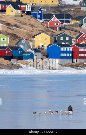 Südöstliches Grönland, Region Ammassalik. Typische farbenfrohe Häuser in der abgelegenen Gemeinde Tasiilaq. Lokale Hundeschlitten auf Frühjahrs-Fasteis. Stockfoto