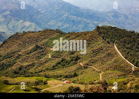 Kulturelle Kaffeelandschaft. Wunderschöne Berge der Central Ranges in der Gemeinde Aguadasgelegen im Departement Caldas in Kolumbien. Stockfoto