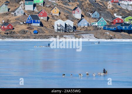 Südöstliches Grönland, Region Ammassalik. Typische farbenfrohe Häuser in der abgelegenen Gemeinde Tasiilaq. Lokale Hundeschlitten auf Frühjahrs-Fasteis. Stockfoto