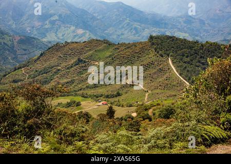 Kulturelle Kaffeelandschaft. Wunderschöne Berge der Central Ranges in der Gemeinde Aguadasgelegen im Departement Caldas in Kolumbien. Stockfoto