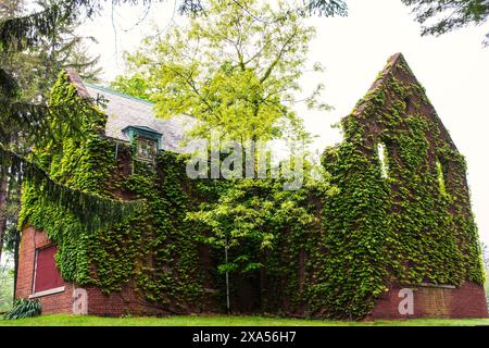 Landschaften, Meereslandschaft und Tiere sorgen für eine Vielfalt an Bildern Stockfoto