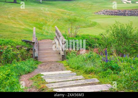 Landschaften, Meereslandschaft und Tiere sorgen für eine Vielfalt an Bildern Stockfoto