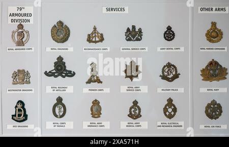 Detail der Medaillen und Abzeichen aus dem Zweiten Weltkrieg D-Day britische Mütze Abzeichen Stockfoto