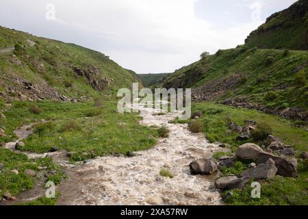 Ein schnell fließender Fluss in den armenischen Bergen Stockfoto