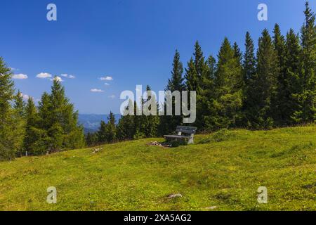 Foto einer einsamen Bank auf grüner Wiese in den Alpenbergen, sonniger Sommertag in den österreichischen Alpen bei Graz Stockfoto