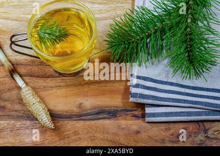 Eine Draufsicht einer Infusion von Heilpflanze, Schachtelhalm Equisetum arvense mit frischen Zweigen Stockfoto