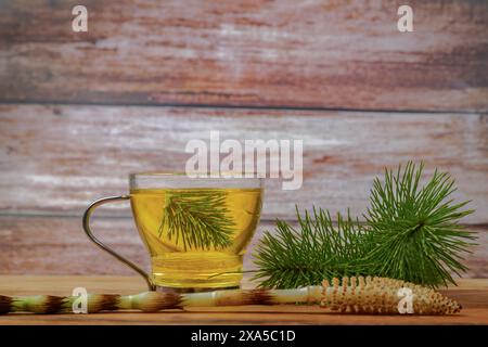 Eine Infusion von Schachtelhalm Equisetum arvense, Heilpflanze zur Gesundheitsfürsorge mit frischen Zweigen Stockfoto