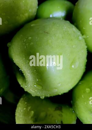 Frische grüne Äpfel in einer eleganten schwarzen Schüssel mit Wassertropfen Stockfoto