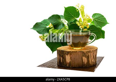 Lindentee und Blumen selektiver Fokus, Nahaufnahme von Kräutertee in einer Tasse auf einem Holzstumpf. Isolierter Hintergrund Stockfoto