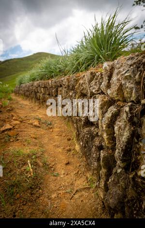 Eine vertikale Aufnahme einer Steinmauer entlang einer Straße im Land Stockfoto