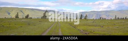Ein Panoramablick auf eine unbefestigte Straße durch ein grasbewachsenes Feld Stockfoto