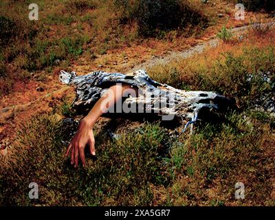 Ursprünglich im Jahr 2005 entstanden, eine Fotomanipulation, die ein irdisches Baummonster zeigt, das einen menschlichen Arm verschlang. KEINE AI generiert. Stockfoto