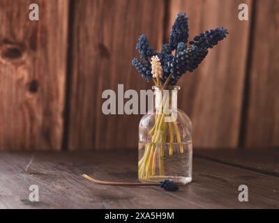 Kleine blaue und weiße Blumen in einer Vase auf einem Tisch Stockfoto