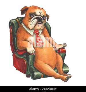 Ernsthafte englische Bulldogge mit weißem Kragen und gestreifter orangefarbener Krawatte, die als Boss im Stuhl sitzt. Müder Büromanager hat sich ausgeruht. Altes Boss-Konzept. Stockfoto