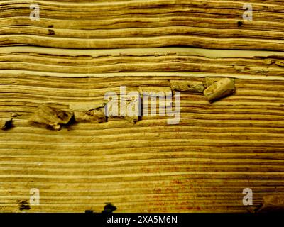 Ein geöffnetes altes Buch mit freigelegten Seiten auf dem Tisch Stockfoto