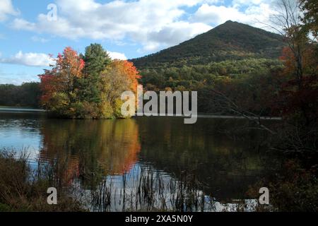 Blue Ridge Parkway, Virginia, USA. Blick auf Abbott Lake und Sharp Top im Herbst. Stockfoto