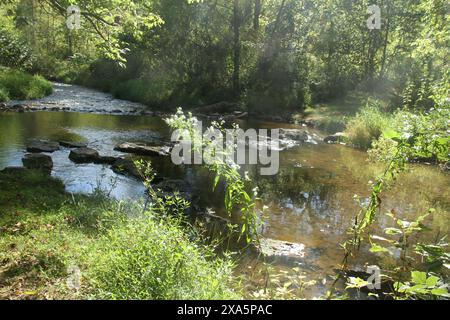 Blick auf einen Bergbach im Herbst. South Fork Goose Creek in Virginia, USA. Stockfoto